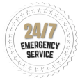247 (1)